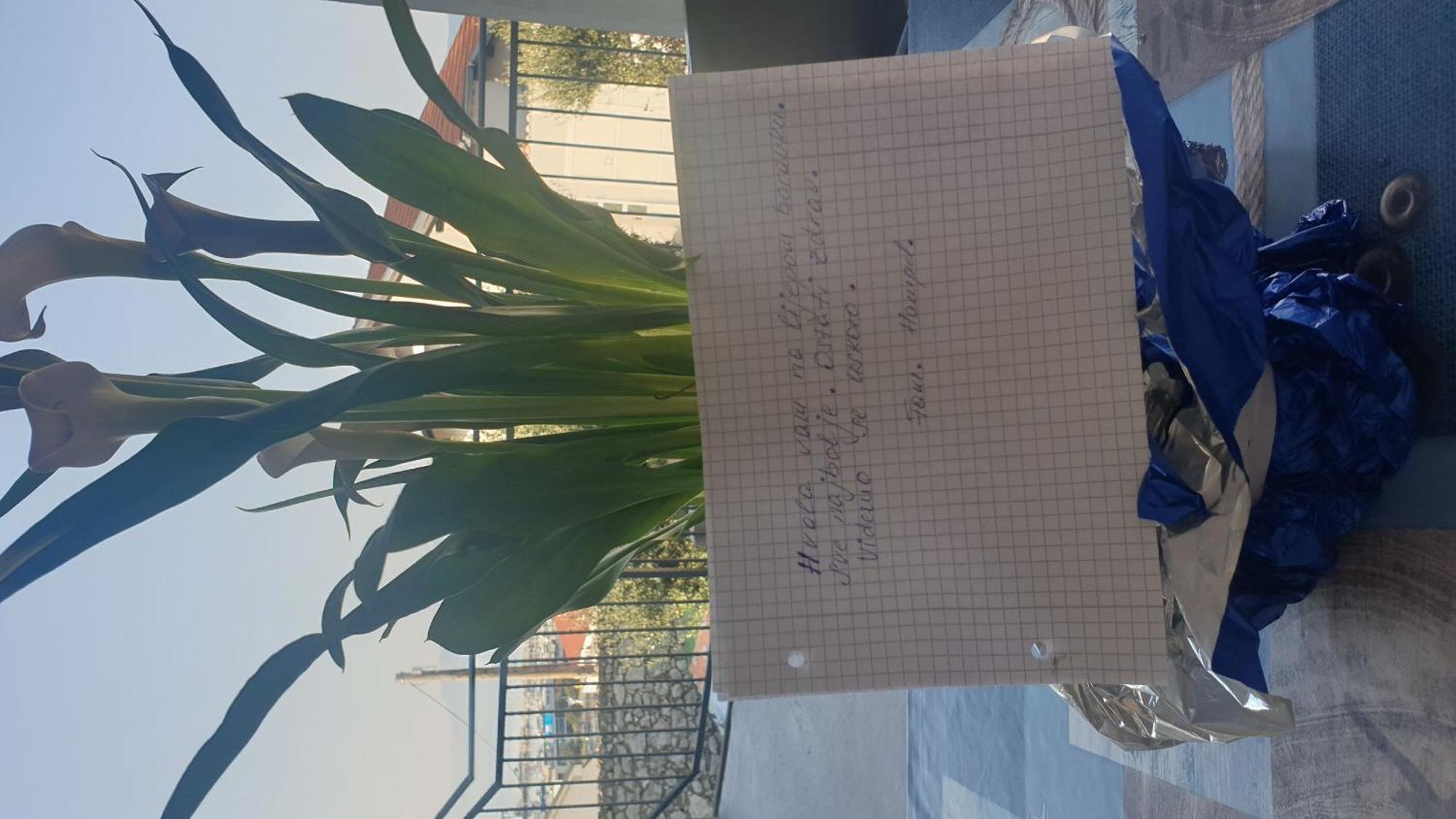Apartment Goran Novi Vinodolski Luaran gambar